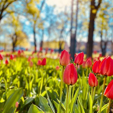 Schoene Aussichten Mitten In Berlin - Il Sole Zewnętrze zdjęcie